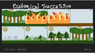 Disruptions to Ecosystems