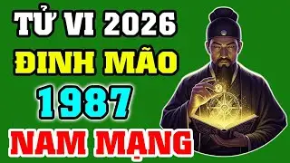 Tử Vi 2026 Tuổi Đinh Mão 1987 Nam Mạng | Tài Vận Khởi Sắc – Quý Nhân Độ Mệnh