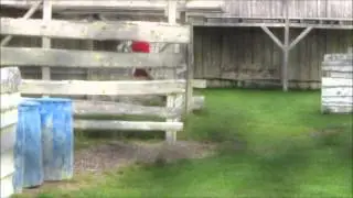 Bange for m&oslash;rket