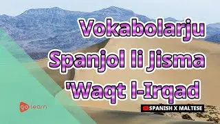 Vokabolarju Spanjol li Jisma 'Waqt l-Irqad |Golearn