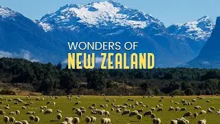 Best Places in New Zealand | Top Places in New Zealand | Best Place to visit in New Zealand