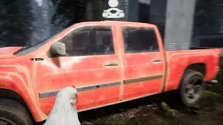 Mist Survival Animal Locations, Bears, Chickens and Deer