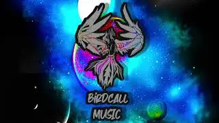 BIRD CALL MUSIC | LIQUID DRUM AND BASS MIX | 012 | LIVE BY JUNGLE SOULJAH