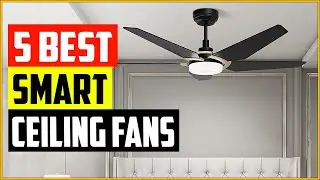 Top 5 Best Smart Ceiling Fans Reviews in 2022