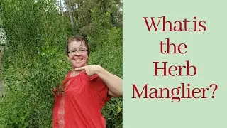 What is Manglier? What is Consumption weed? What is Groundsel? What is it used for?