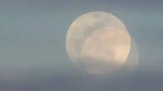 Full Pink Moon