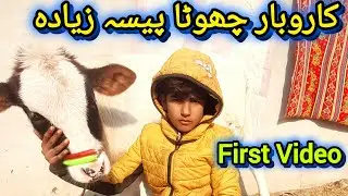 Dairy farming income and expenses | ڈیری فارمنگ کے اخراجات اور آمدنی