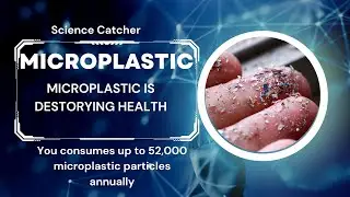 Microplastic : The invisible threat to our planet and ourselves.||Science Catcher