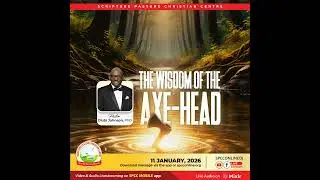 The Wisdom of the Axe Head (2)