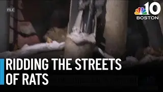 Rat-resistant trash bins installed in the North End