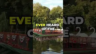 Boston USA Transport Facts #shorts #travel #short #news #trending #shortvideo #viral