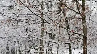 GORGEOUS Winter Day Drive 2021 at Haven Hill