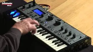Novation MoroderNova Synthesizer Review &mdash; Daniel Fisher