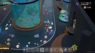 Coral Island_Big surprise