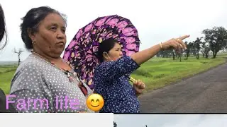 Real life farm// farm vlog//Tibetan farmers//organic//mainpat Chhattisgarh