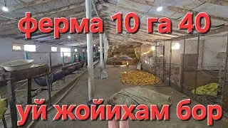 Мини фермаси бор хонадон сотилади Тошкент вилояти 