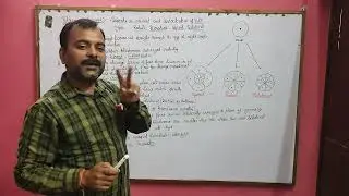 Pattern of cleavage @ embryology