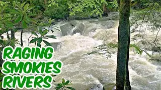 HEAVY RAIN BRINGS POWERFUL WATER TO THE SMOKIES