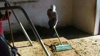 Limpeza de estabulos
