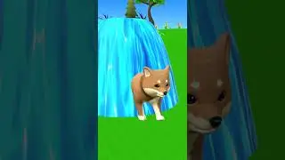 🐥🐓🐱🐐🐶 Animals Coming Out of Magic Fountain | Duck Ayam Cat Goat Dog | Giggle Zoo Shorts