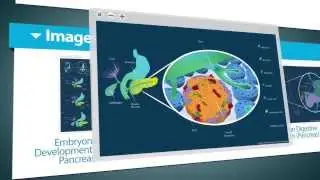 LifeMap Discovery - Introduction