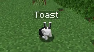 The Sad Story of the 'Toast' Rabbit