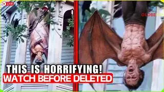 The California Footage the Police Won't Explain. Most Bizarre Encounter Ever Caught on Camera