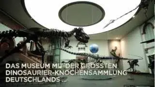 Senckenberg - mehr als gro&szlig;e alte Knochen