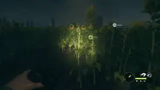 3 Gold Hares at Night for Mission, And this Happens!
