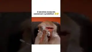 Dia a dia de um Prot&eacute;tico🤣 #alunoprotetico #institutoalunoprotetico #protetico #dentista