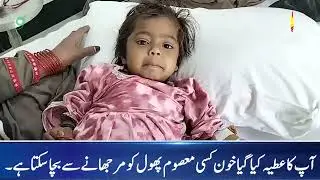 A single drop of your blood can keep an innocent life blooming. Fatimid Foundation Dera Ismail Khan.