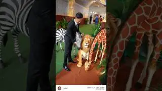❤️❤️🌹viral tranding video 💖😘😍#viralvideo #youtubeshorts #amazing #viralshorts