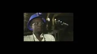INFLUENCE DAPPER REFININ' EDIT (IIIKNOW3, 4 HORSEMAN, KNO3, 999 DUSAN, NATUREHACKER, RODINE-31-A)