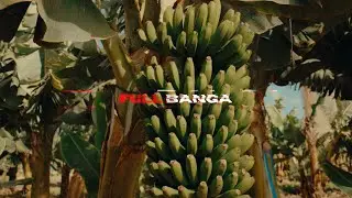 FLEETING FT TR MAKER - FULL BANGA (VIDEO CLIP)