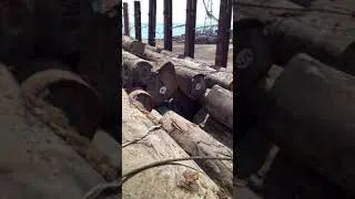 Logship( How to do Hog lashing arrangement for logs cargo)