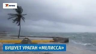 Ураган &laquo;Мелисса&raquo; приносит разрушения на Ямайку