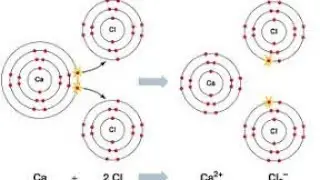 Formation of calcium chloride (cacl2) / (Tamil explanation) 8, 9, 10, 11, 12, tn board 10 (cbsc )