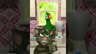 Talking Pierre the Parrot 