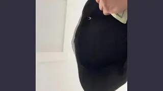 G5hine Bop