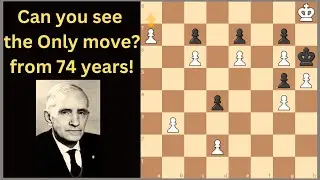 Most Beautiful Chess Puzzle Ever!