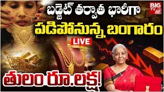 Budget Impact on Gold | Massive Fall Expected? LIVE