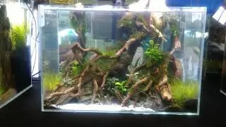 3rd dymax national aquascaping competition