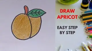 How to draw apricot, draw apricot, apricot drawing easy, kids easy drawing tutorial