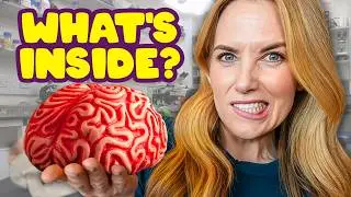 НАСТОЯЩЕЕ АНАЛИЗ МОЗГА! 🧠 Что делает нас умными? | Мэдди Моут