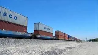 Railfanning with Union Pacific and Canadian National on the Union Pacific Alhambra sub