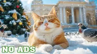 12H Relaxing Cat Sounds 🐾 Deep Sleep & Stress Relief | Peaceful Night 🌙