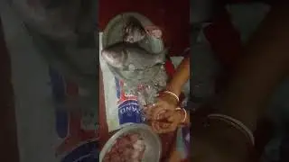 2.5x3=7.5 Kg Rui fish House cutting my mama enjoy life.