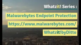 Whatzit! Series - Malwarebytes Endpoint Protection