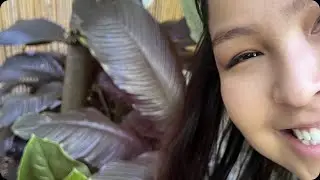 first time at the Botanical Garden in Denver ep 31