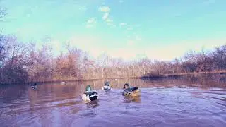 Realism At It's Finest! The M.O.A.D. Motion Decoy